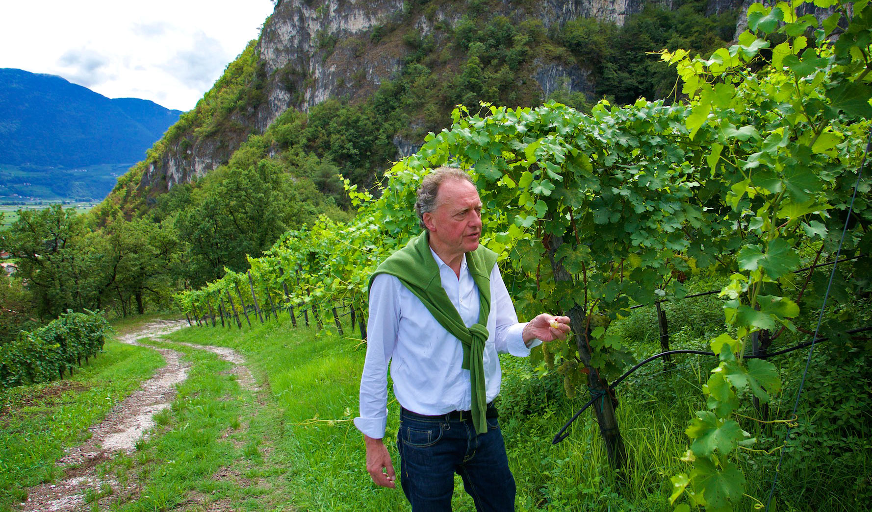 Italian Winemaker Alois Lageder, Margreid, Süd Tirol, Italy