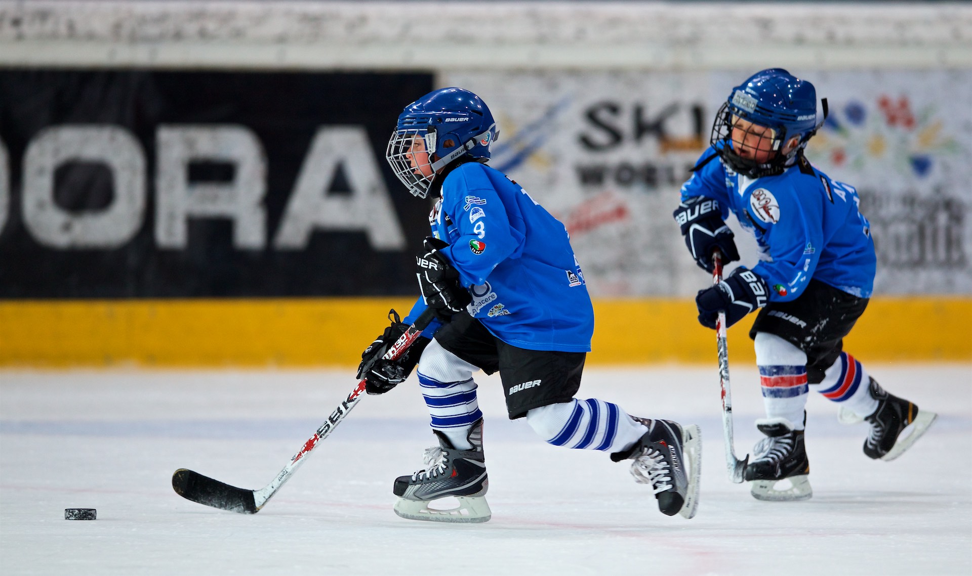 Youth Hockey, Cortina d