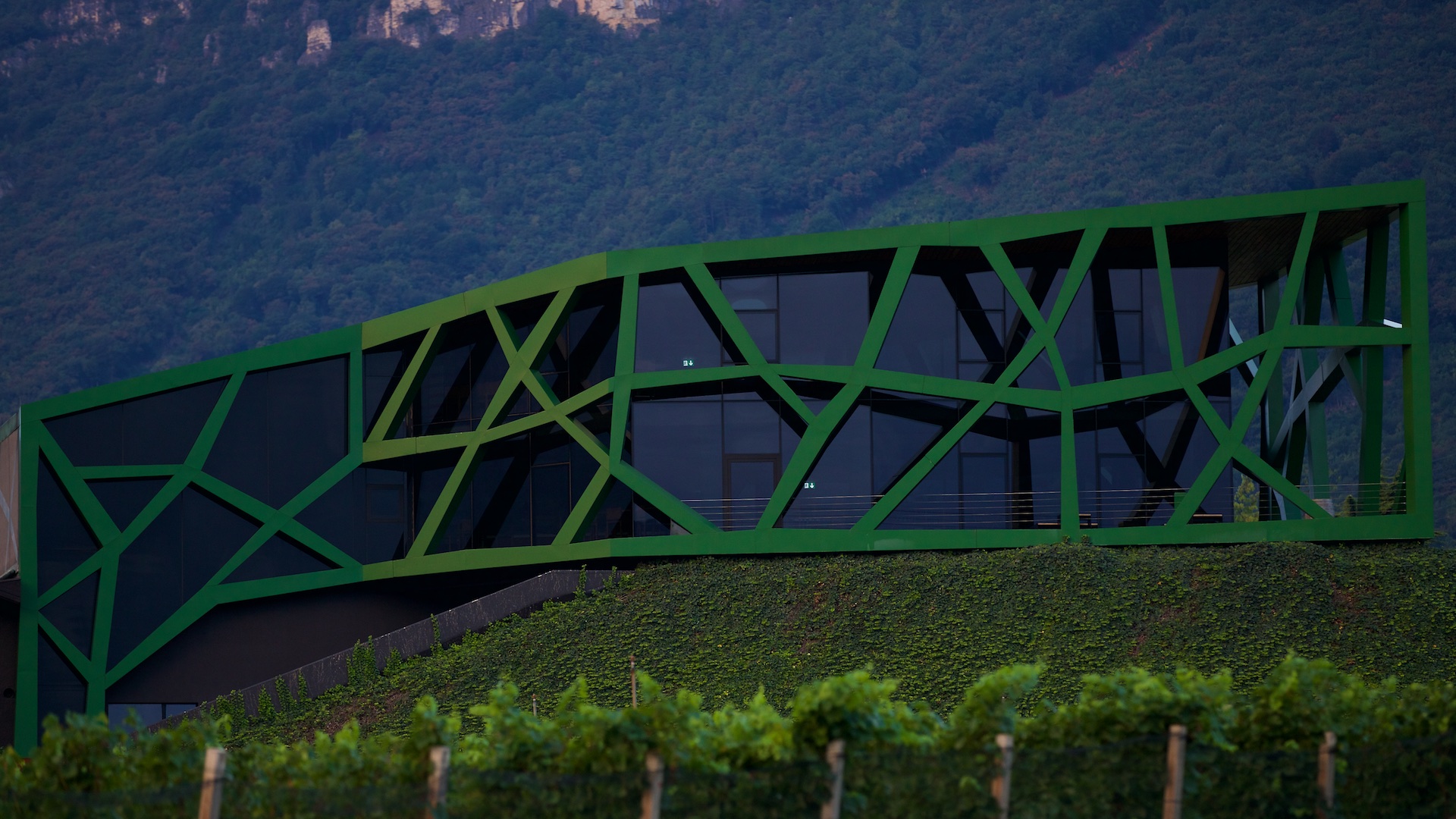Tramin Winery, Termeno, Italy