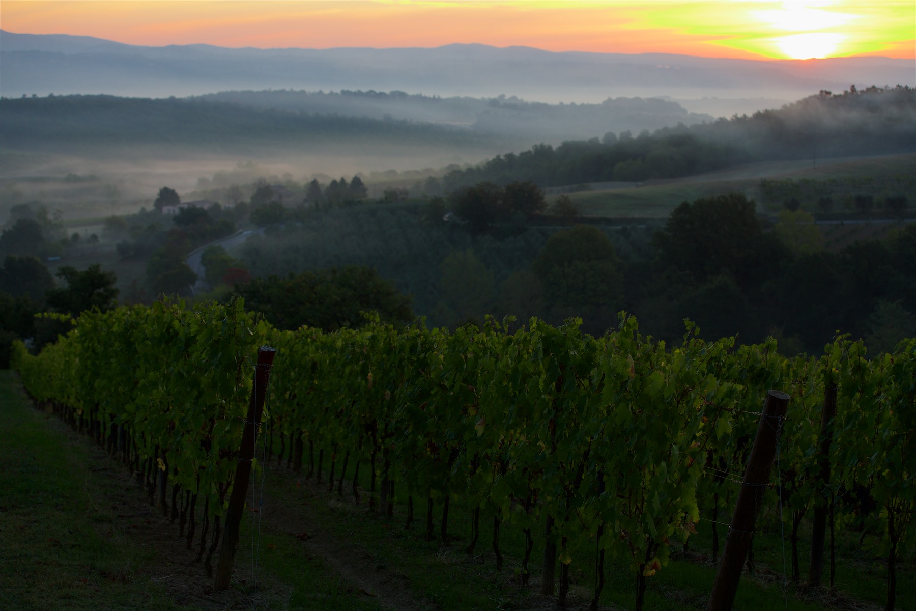 Tuscan Sunrise