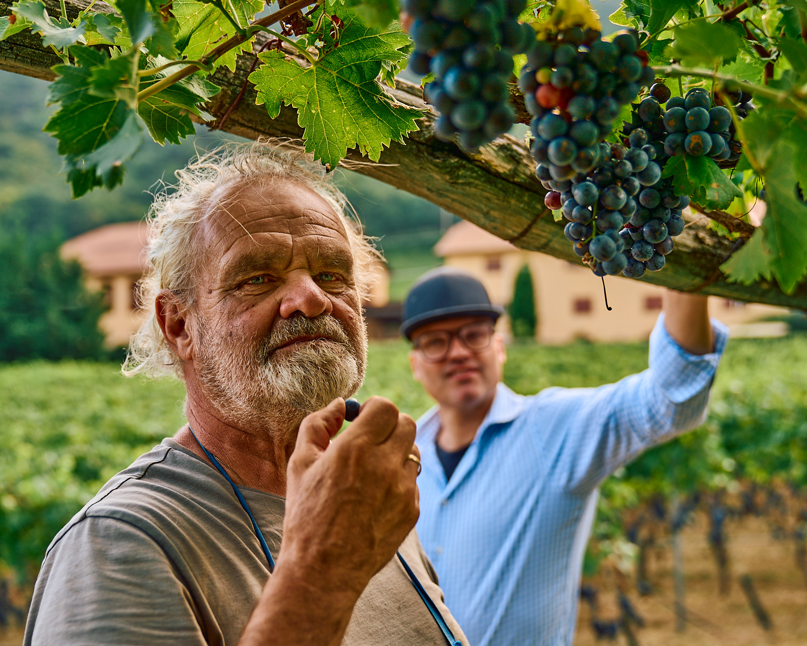Grower and Winemaker, Caldaro