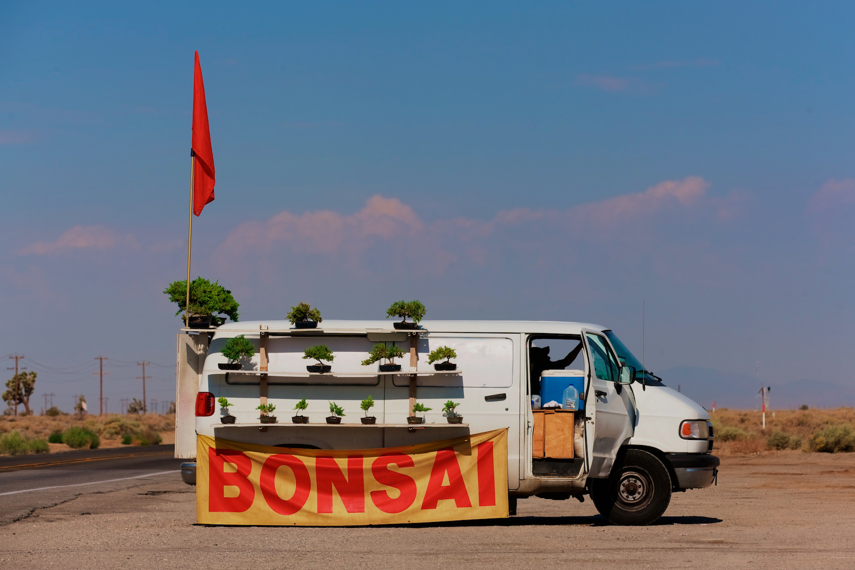 Roadside Bonsai, Bakersfield, CA