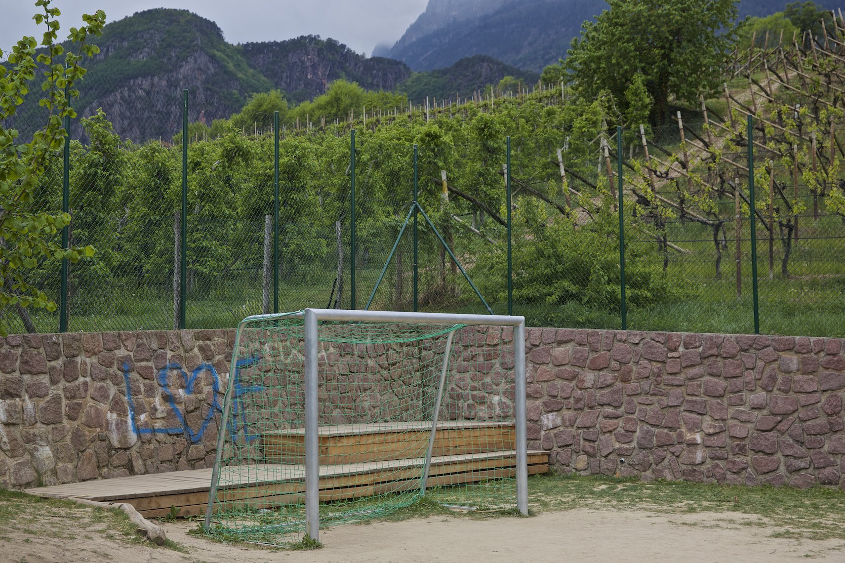Soccer Field in a Vineyard