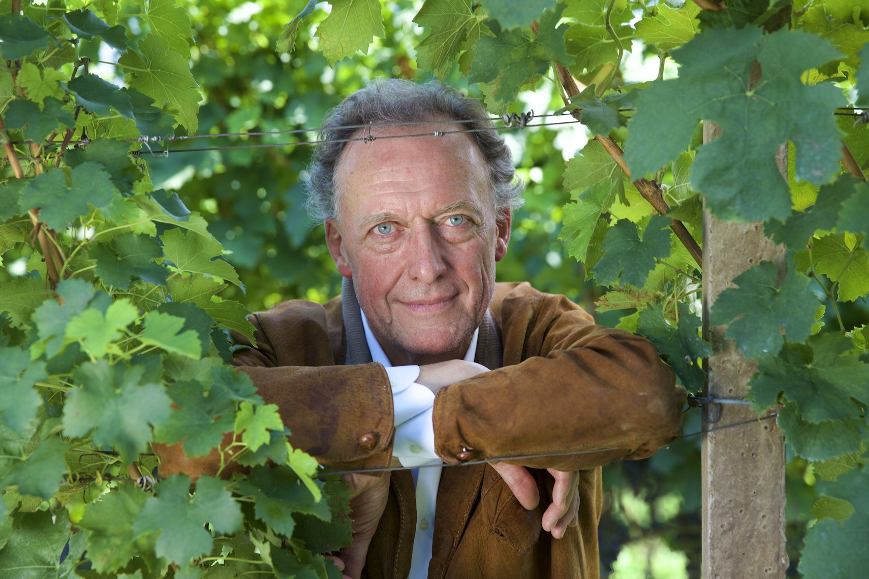 Alois Lageder, Italian Winemaker